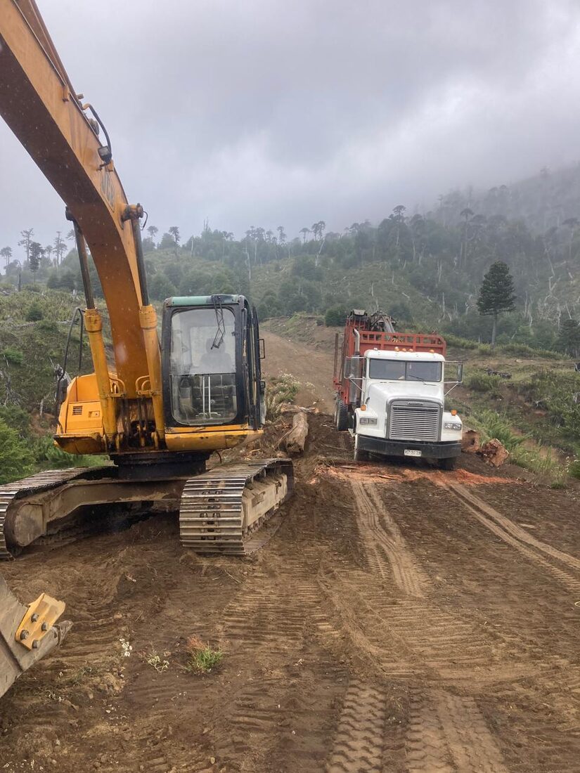 Excavadora en faena